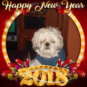 Meet your Posher, Liz